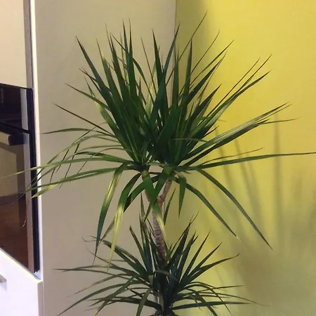 Sirius A In Center Of Cb. Apartment