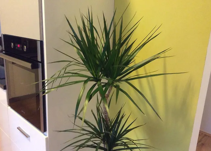 Sirius A In Center Of Cb. 아파트