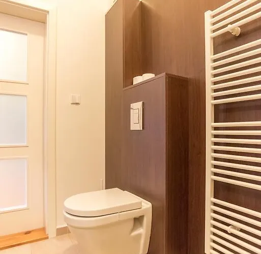 Sirius A In Center Of Cb. Ceske Budejovice